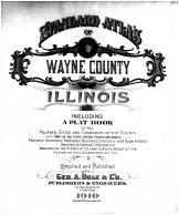Wayne County 1910 